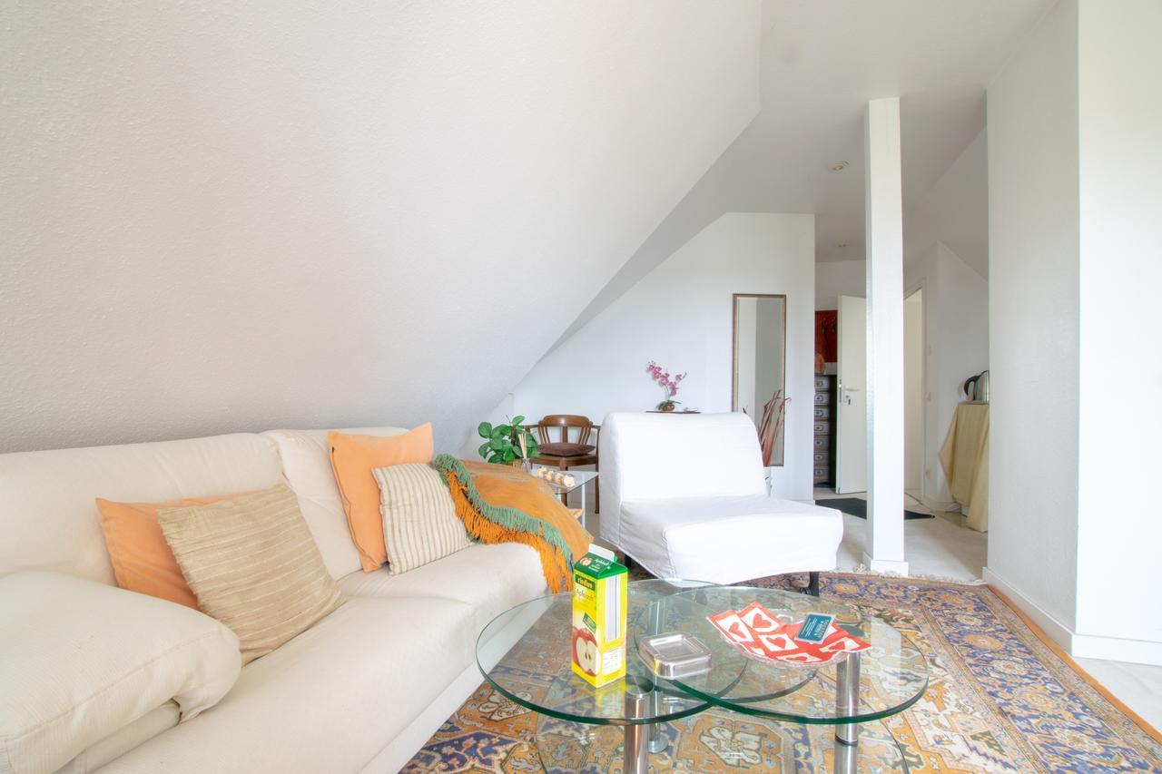 Meerbusch Apartments - 20 Min Messe Dus Экстерьер фото